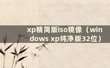 xp精简版iso镜像（windows xp纯净版32位）